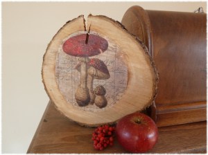 Pilz auf Holzscheibe