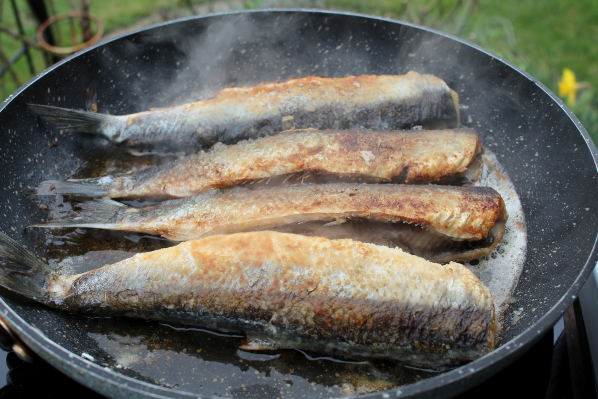 Heringe-aus-der-Pfanne2