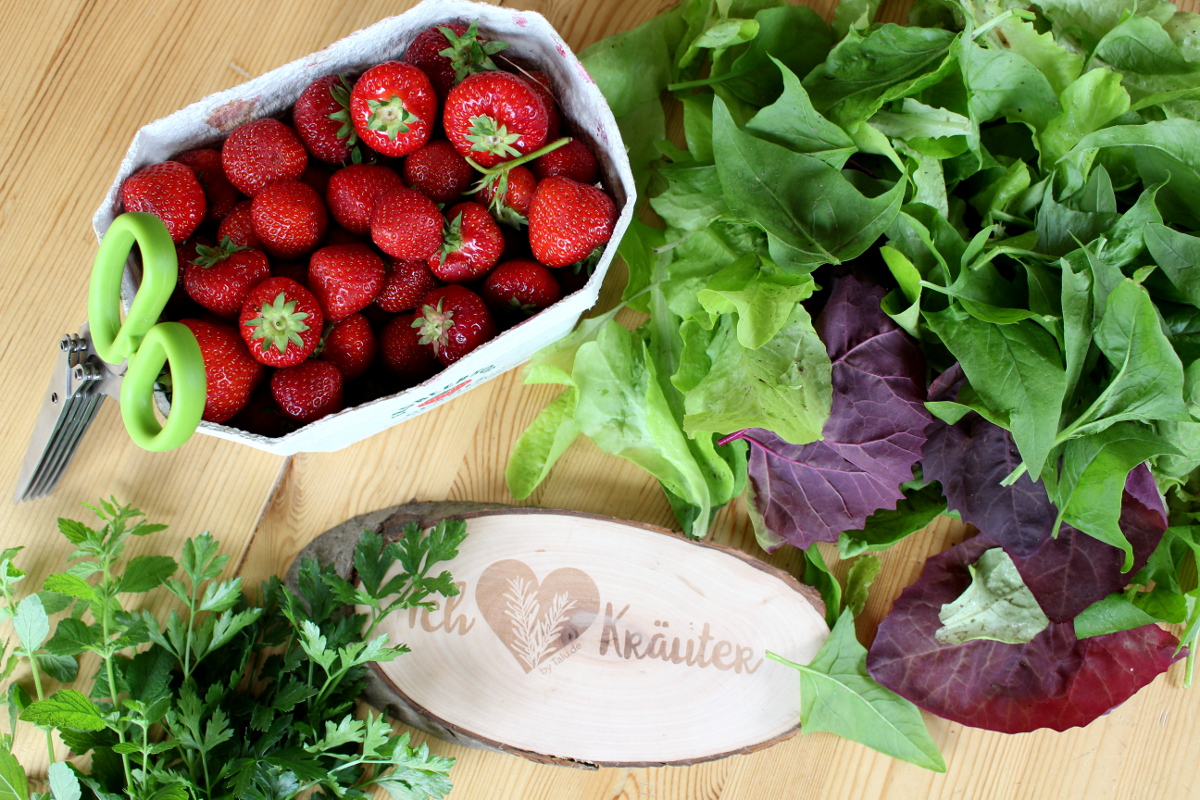 Erdbeer-Melisse-Babyspinat-Salat05