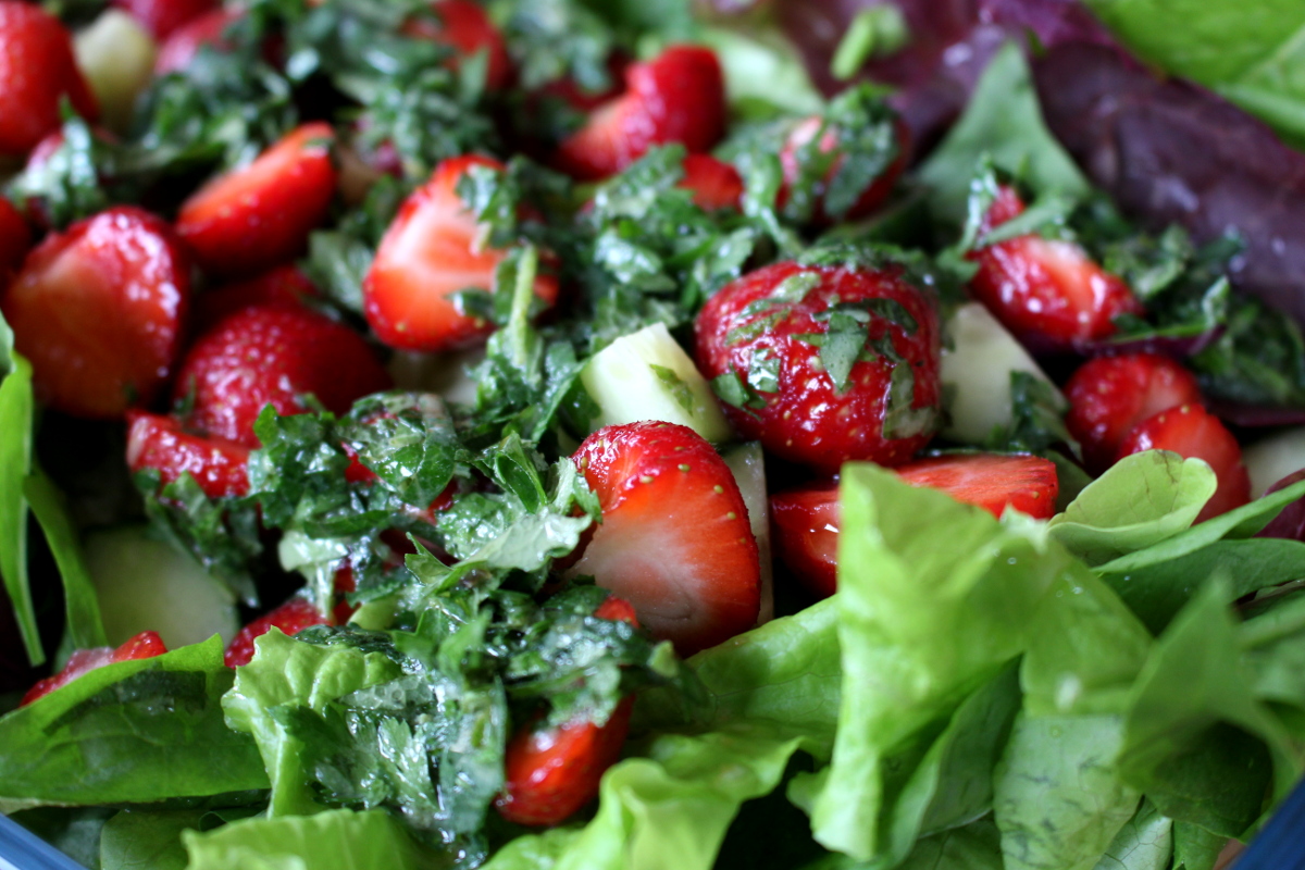 Erdbeer-Melisse-Babyspinat-Salat10