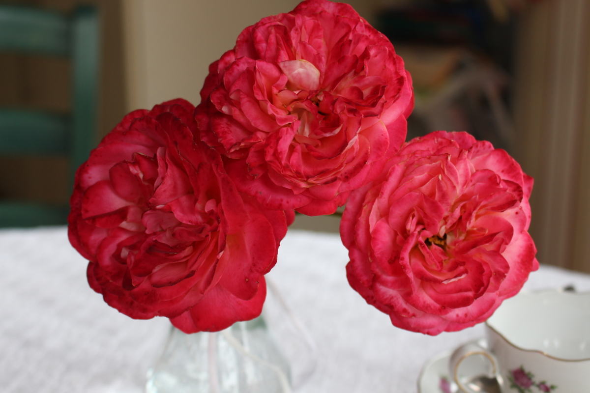 Zitronentarte-Crostata-di-Limone16