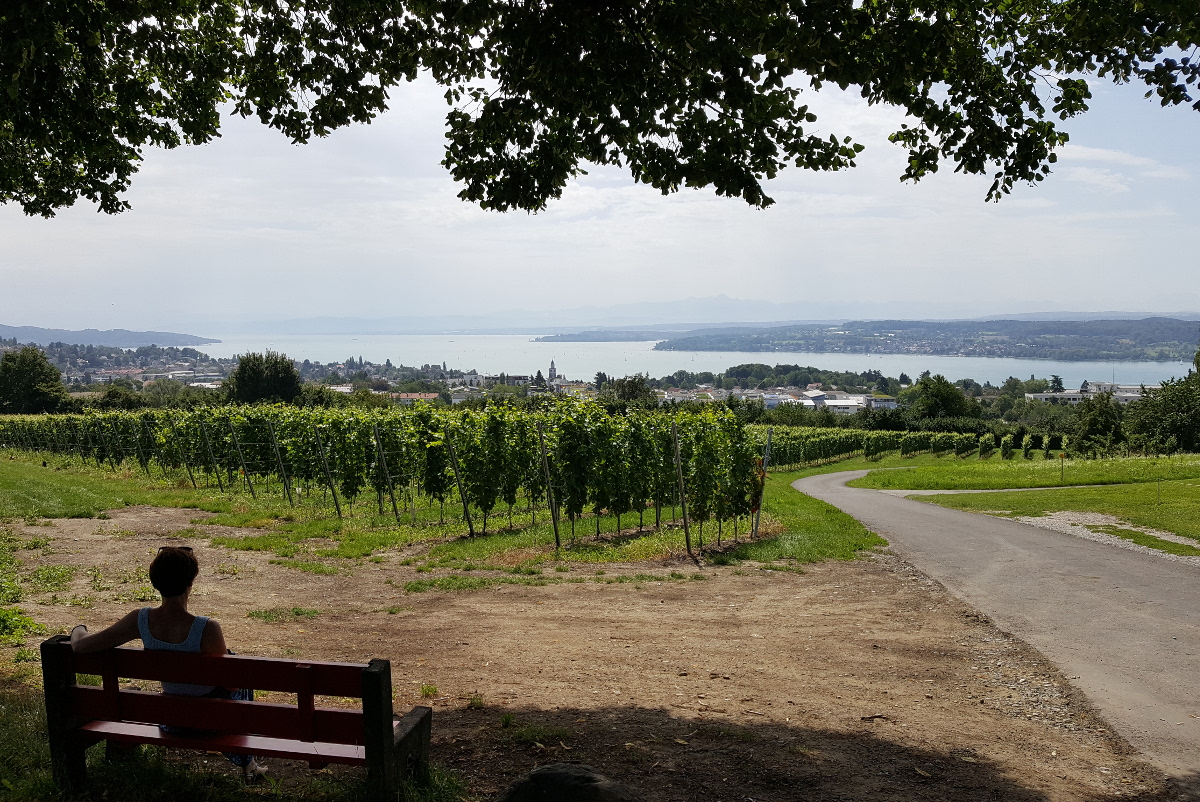 Bodensee_Blick_auf_Weinebene