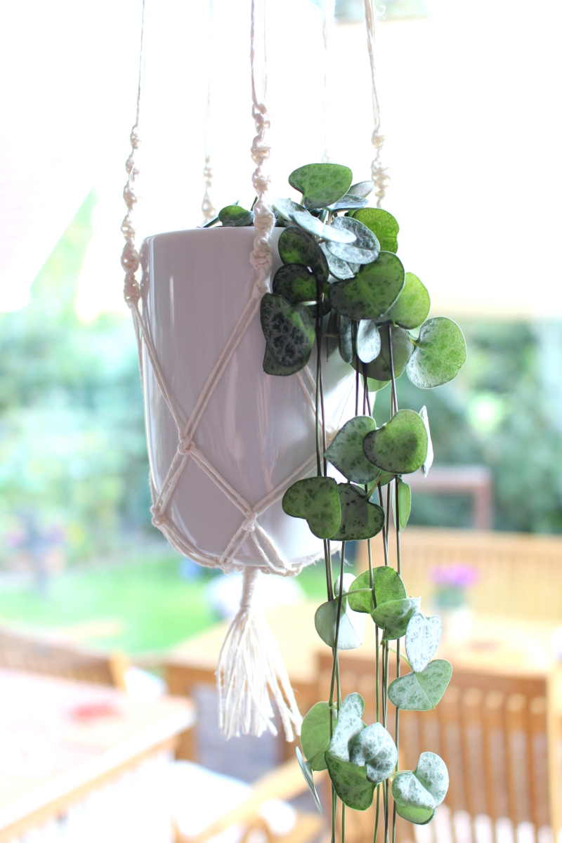 Makramee-Blumenampel-Tasse-Haushaltsgarn04