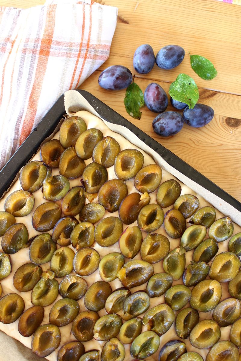 Pflaumen-Hefe_Kuchen-mit-Tonkabohne-Streuseln06