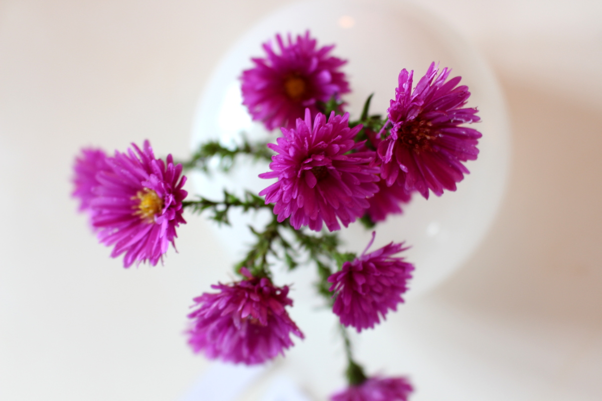 Verlosung-Bloggeburtstag02