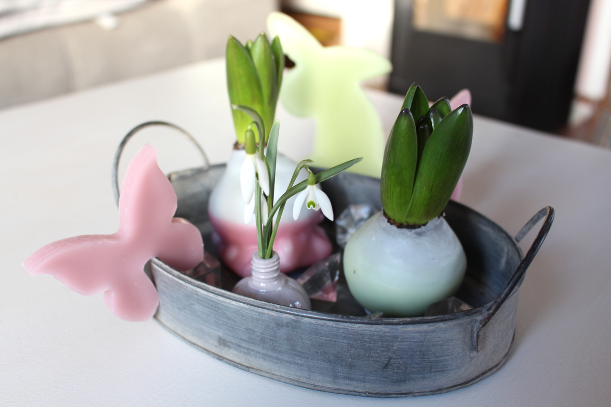 Ostern_Hyazinthen_in_Wachs12