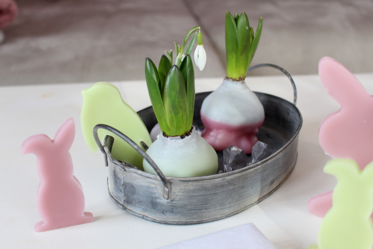 Ostern_Hyazinthen_in_Wachs13