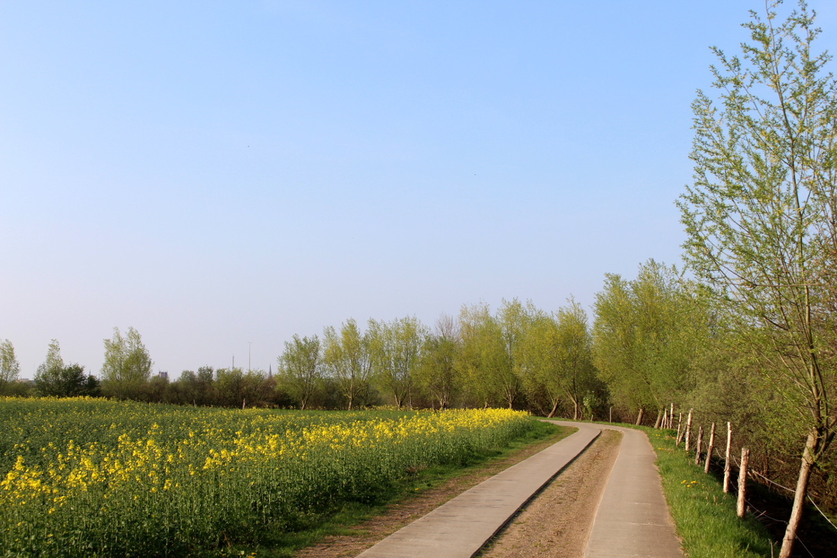 Frühling-MV-bei-Rostock21