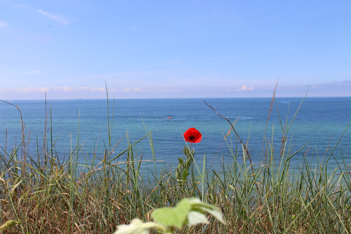 Rerik-Meschendorf2019_03