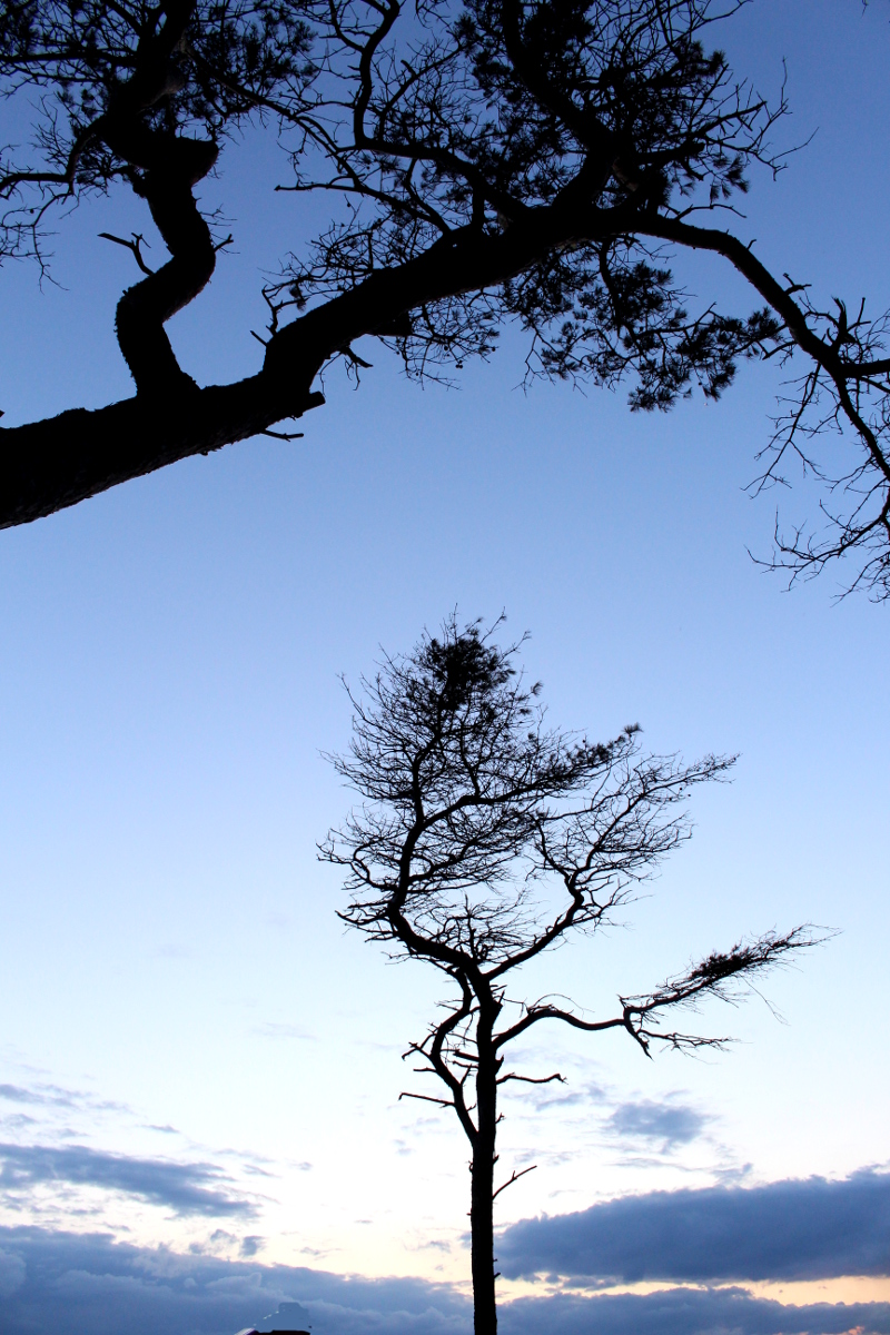 Rerik-Meschendorf2019_25