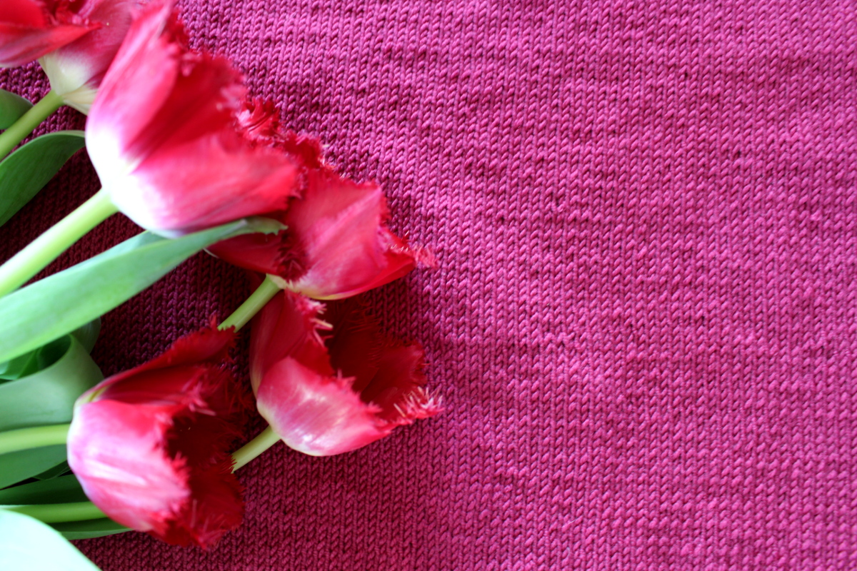 Strickkleid_Daisy_Drops08