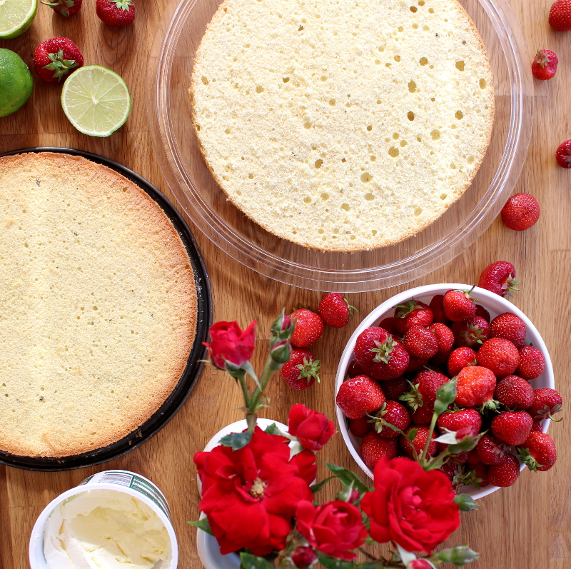 Erdbeer-Mascarpone-Quark-Torte01