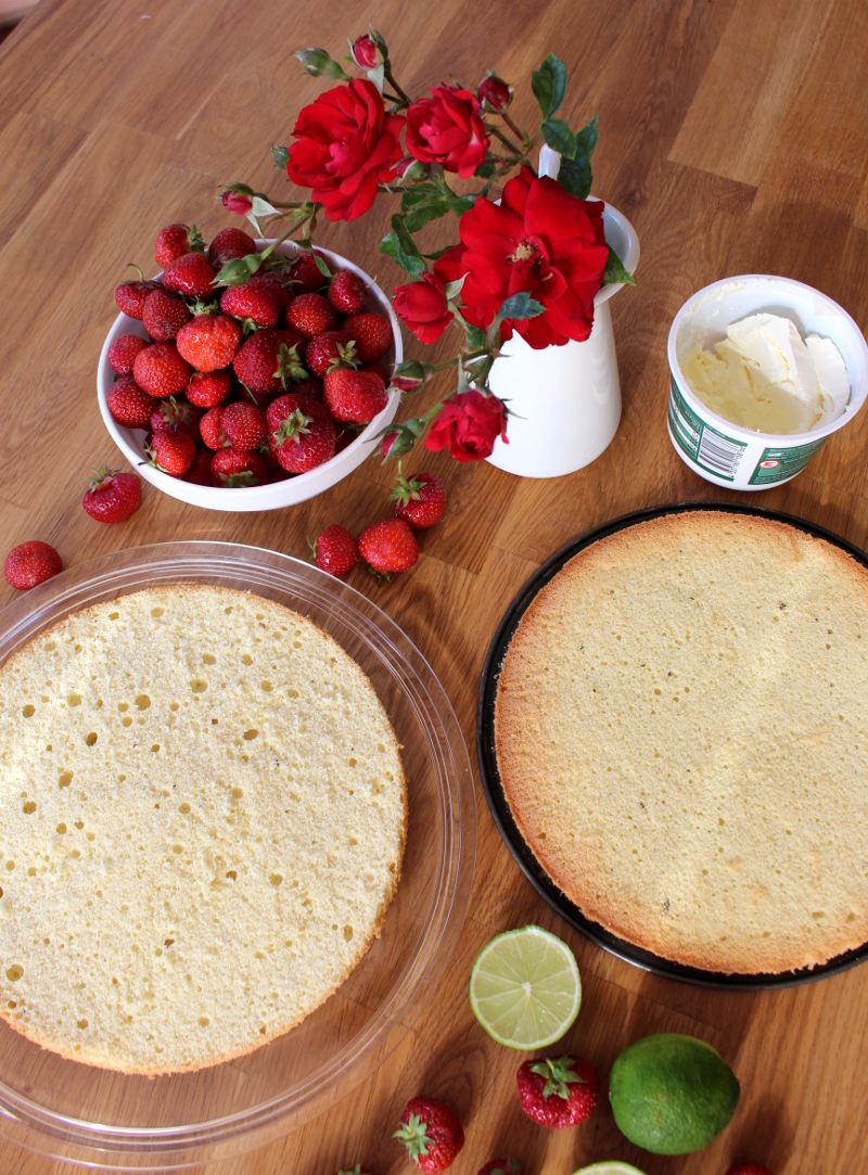 Erdbeer-Mascarpone-Quark-Torte02