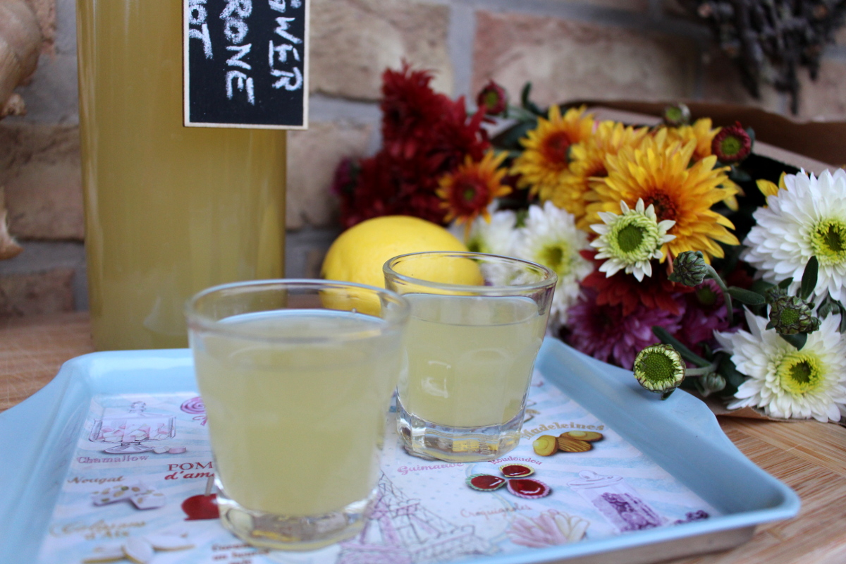 Inger-Zitronen-Shot10