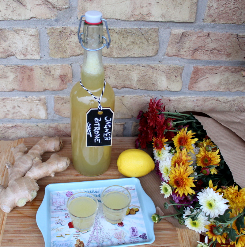 Inger-Zitronen-Shot11