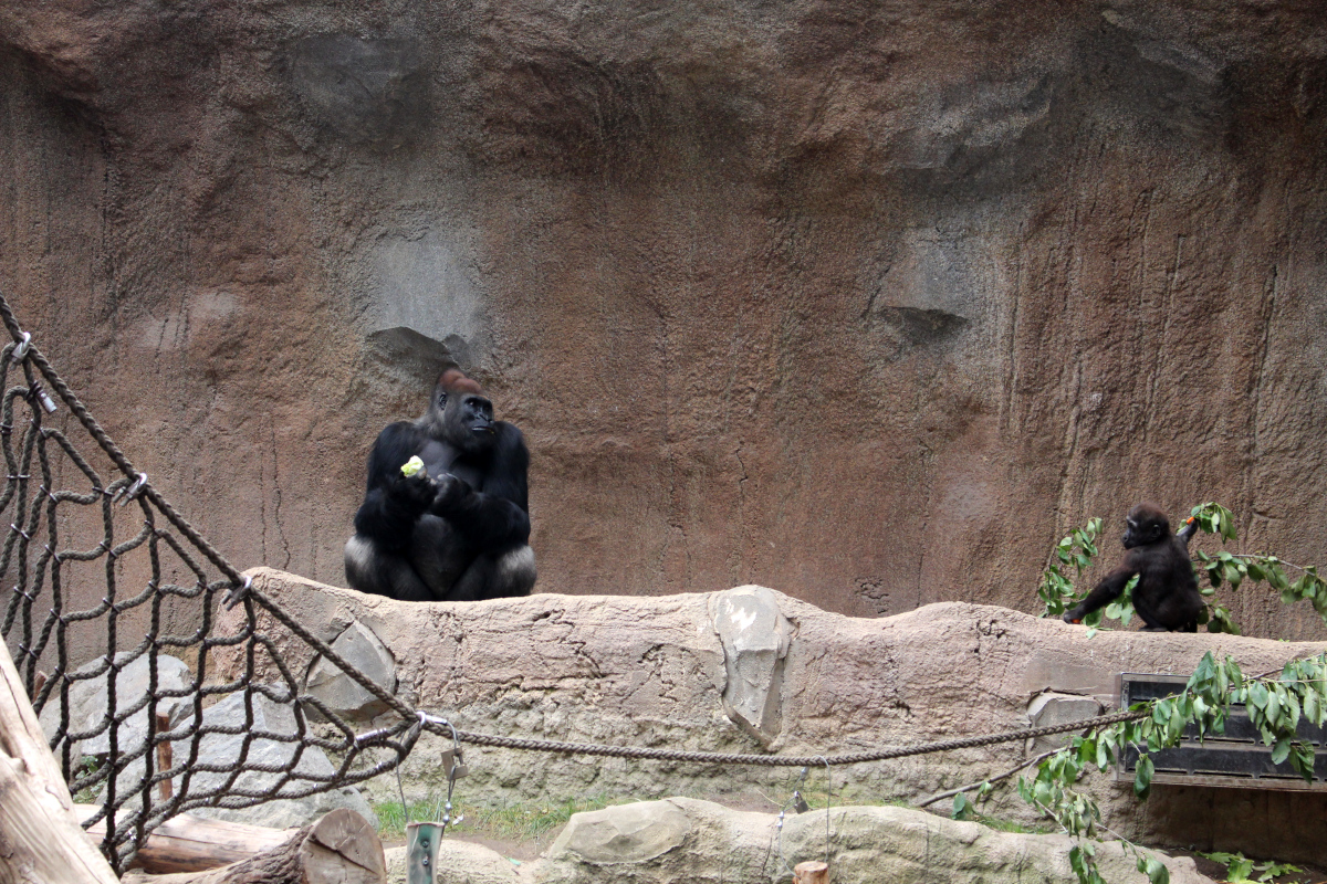 Leipzig_Städtetrip10