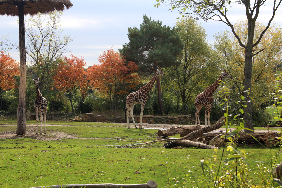 Leipzig_Städtetrip11