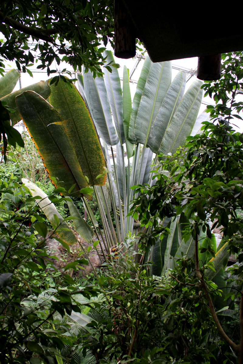 Leipzig_Städtetrip18