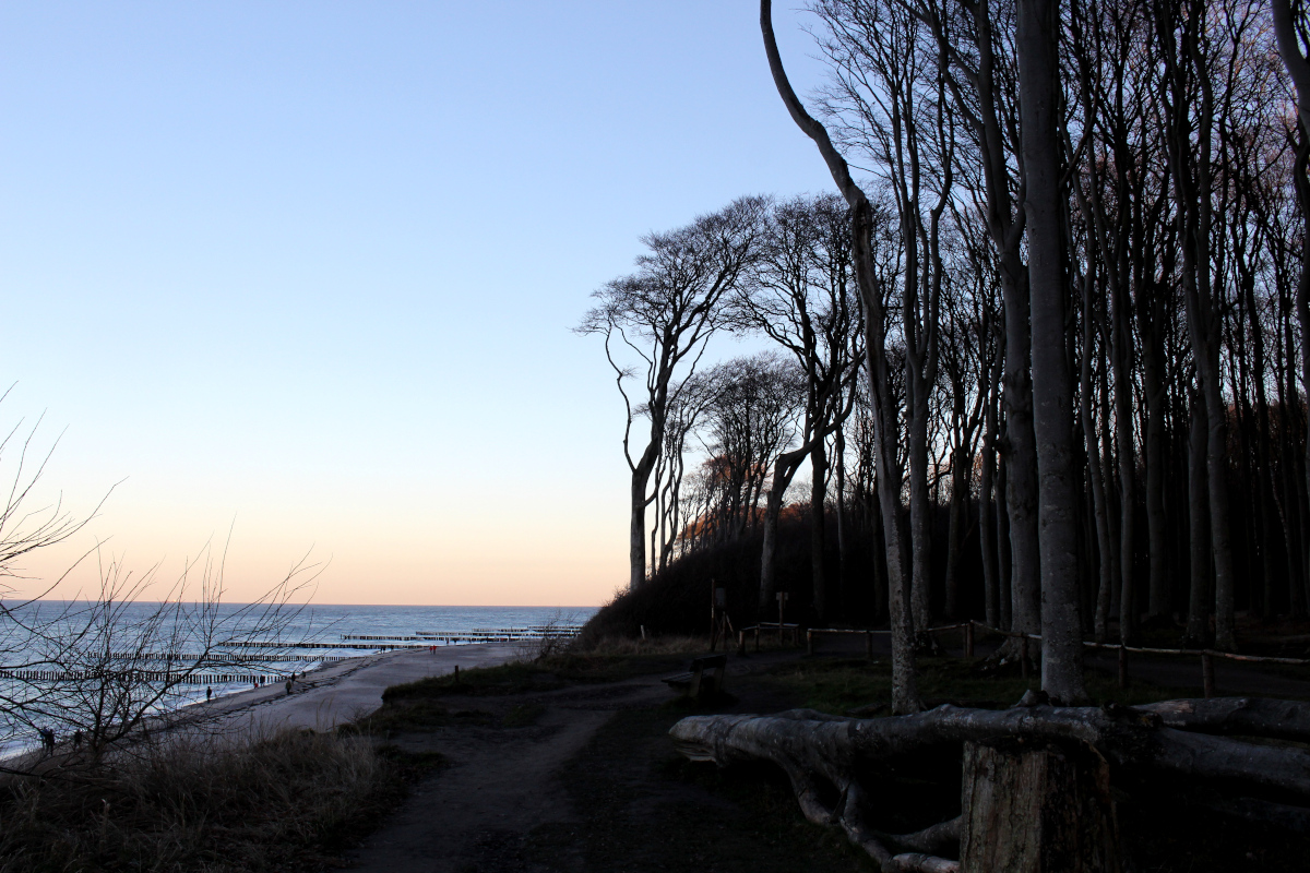 Gespensterwald-Ostsee05