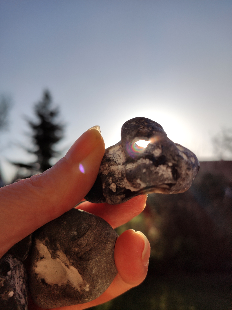 Gespensterwald-Ostsee21