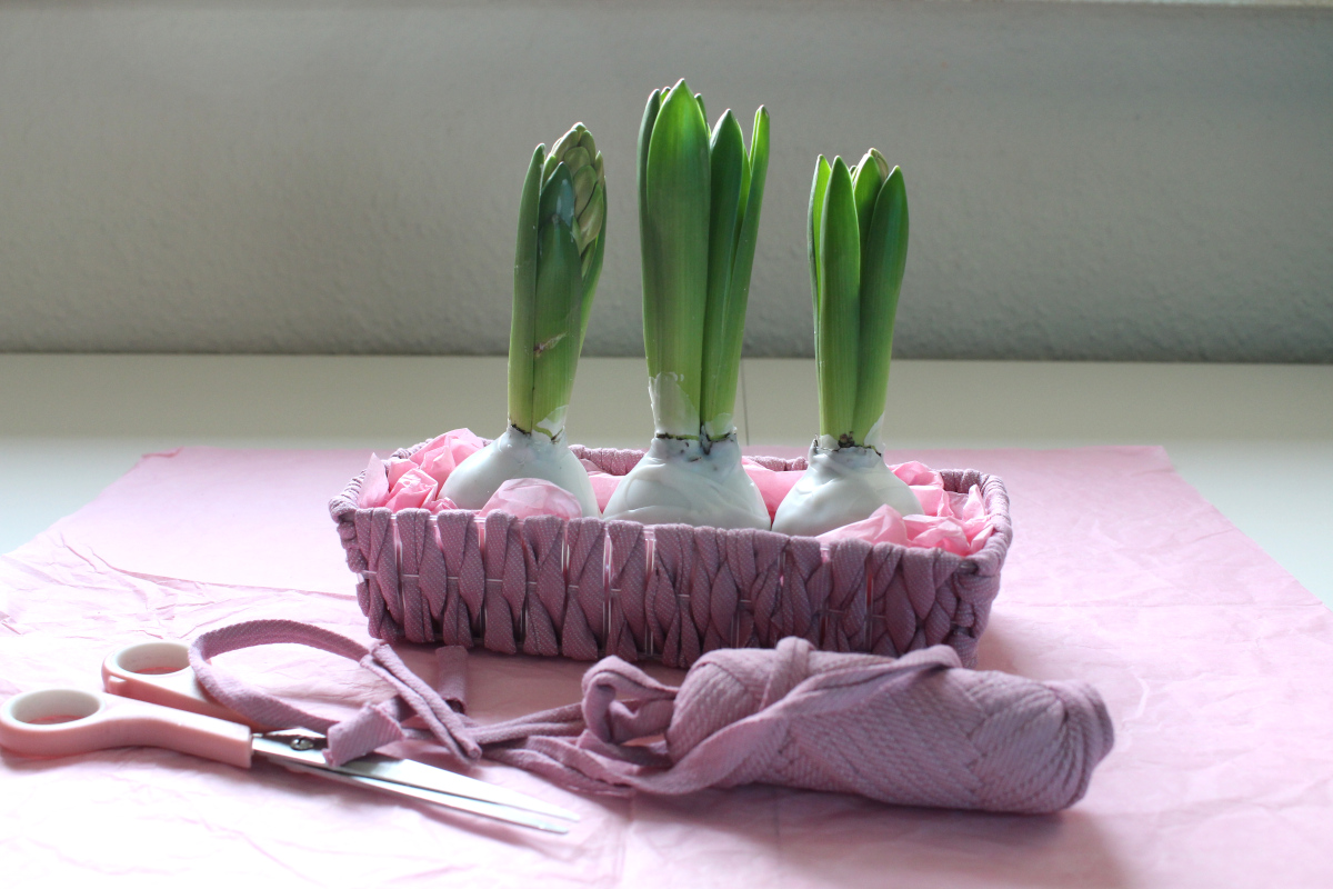 Aufbewahrung-tshirtgarn_upcycling-hyazinthen14