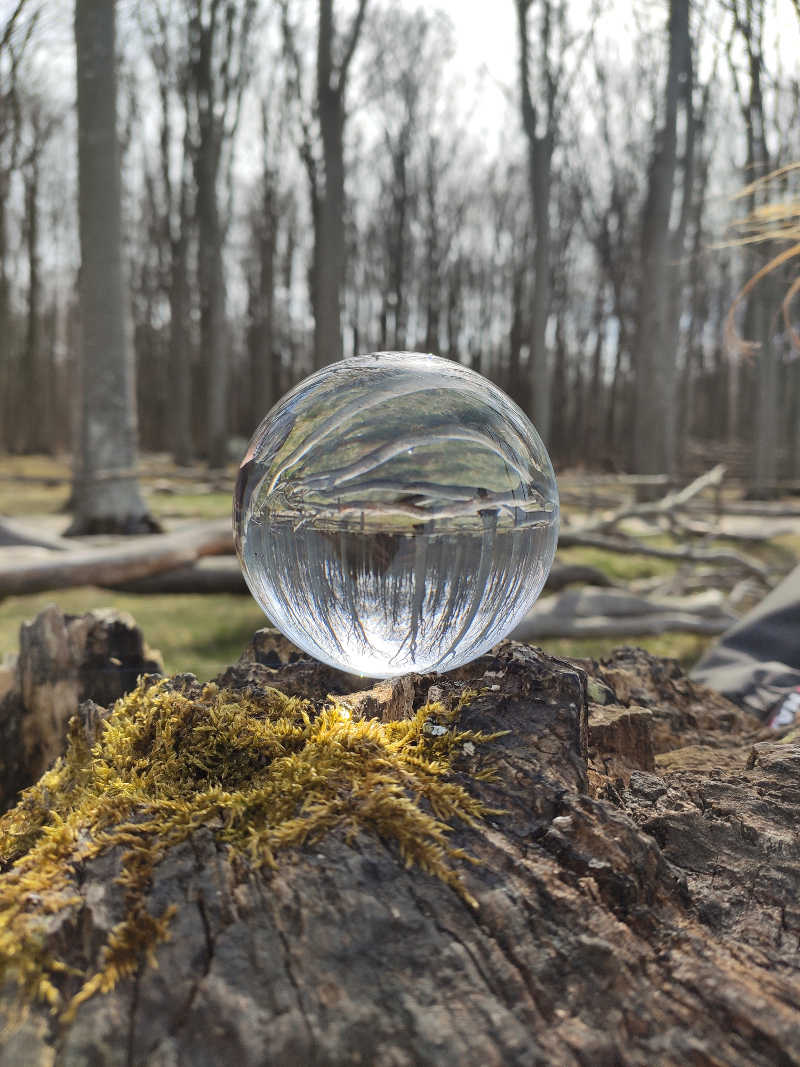 Osterspaziergang_2020_Nienhagen07