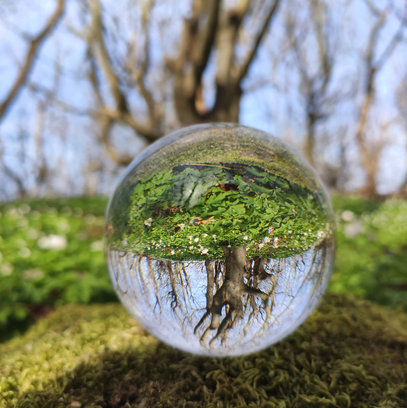 Osterspaziergang_2020_Nienhagen08