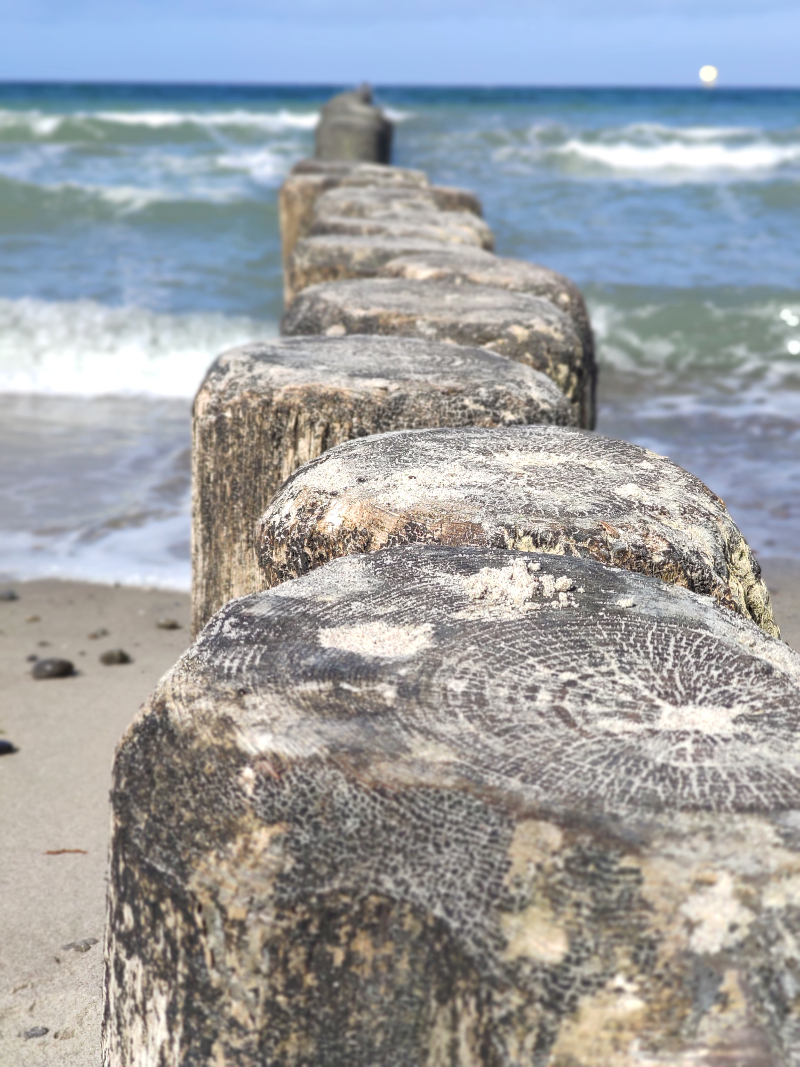 Osterspaziergang_2020_Nienhagen20