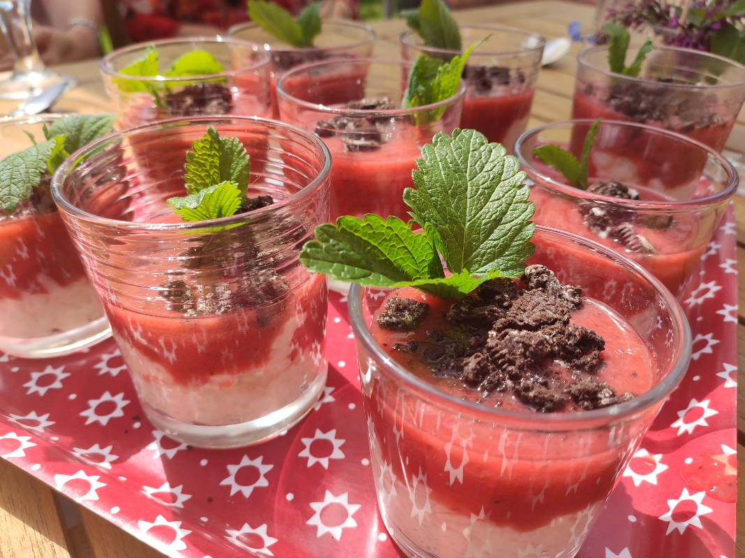 veganer_Milchreis_mitRhabarber-Erdbeer-Sauce05